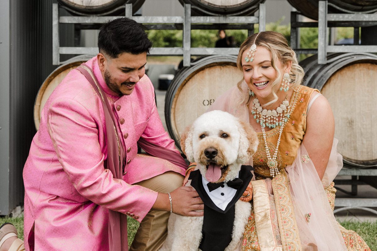 A bride and groom crouch beside their dog, dressed in a black tuxedo bib, in front of stacked oak wine barrels.